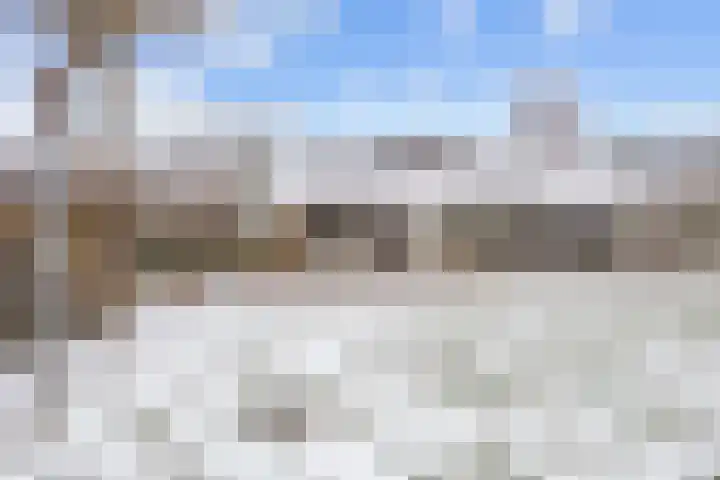 Houtwal 18 Niekerk thumbnail 5