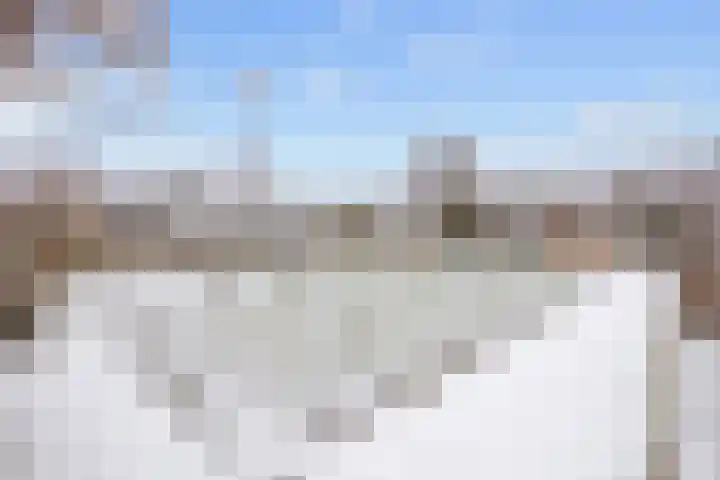 Houtwal 18 Niekerk thumbnail 6