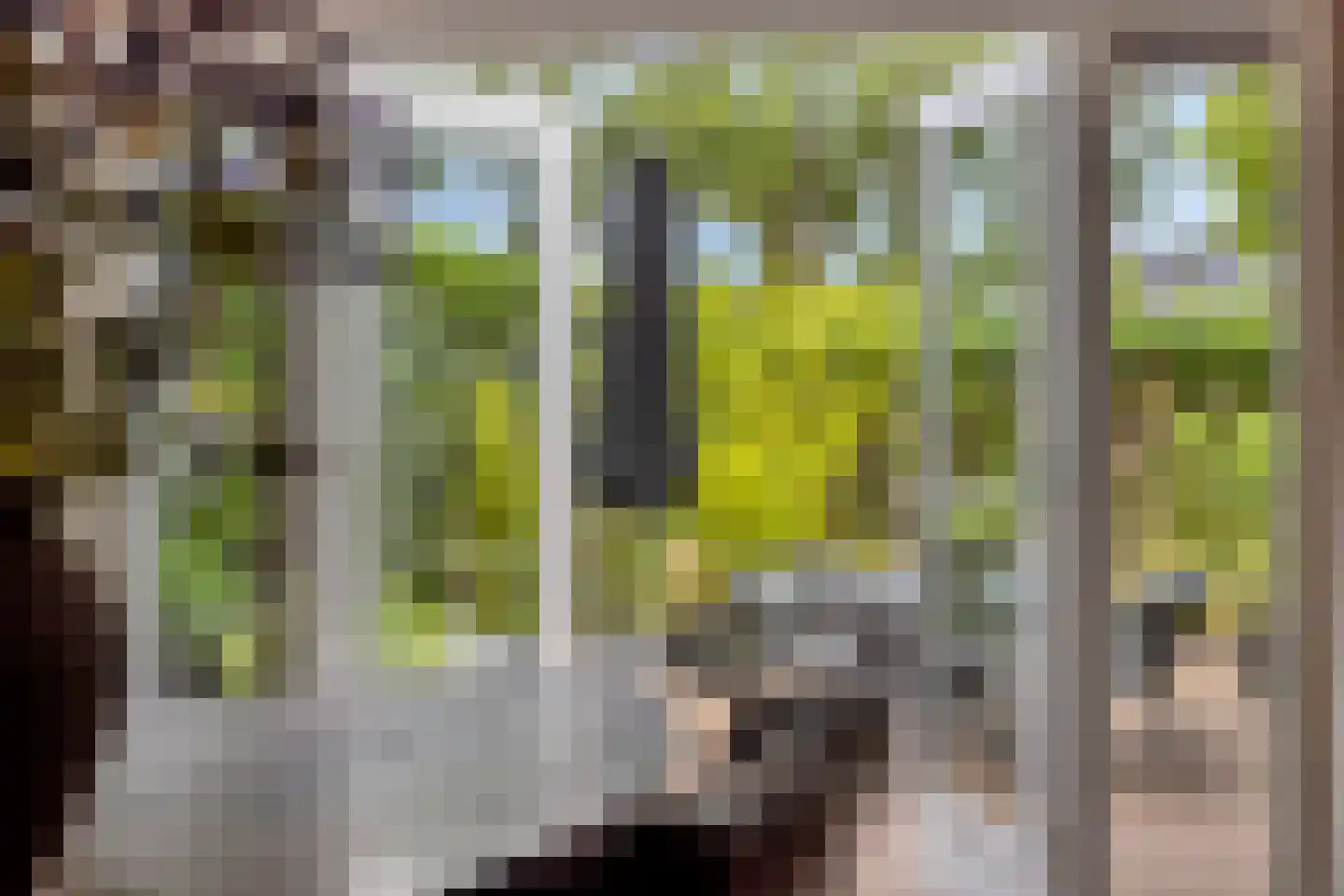 Houtwal 19 Wierden thumbnail 12