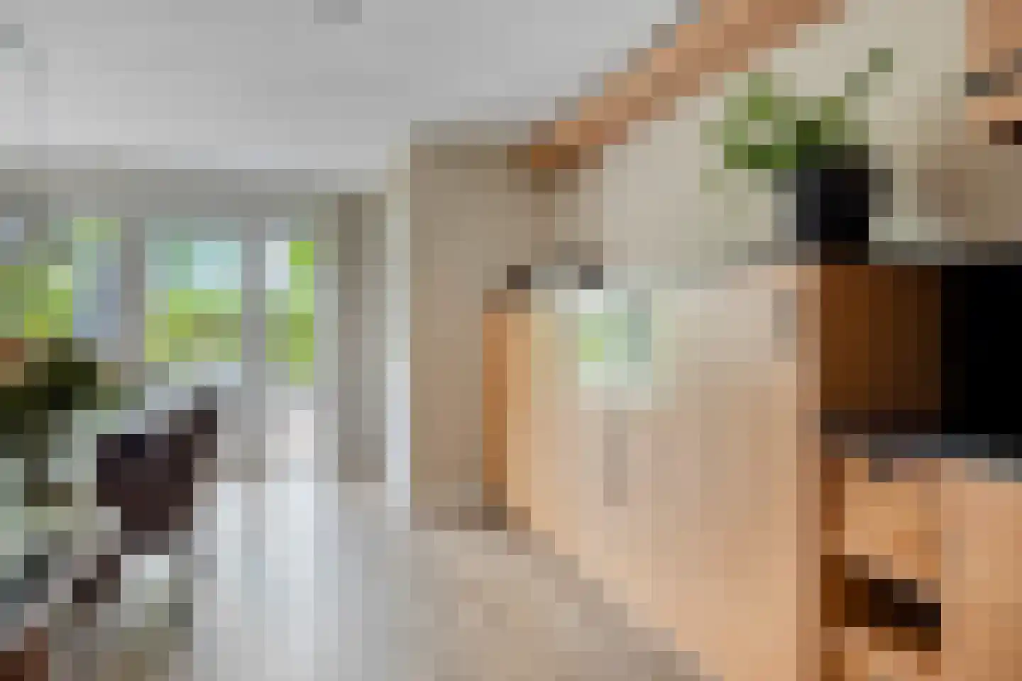 Houtwal 19 Wierden thumbnail 15