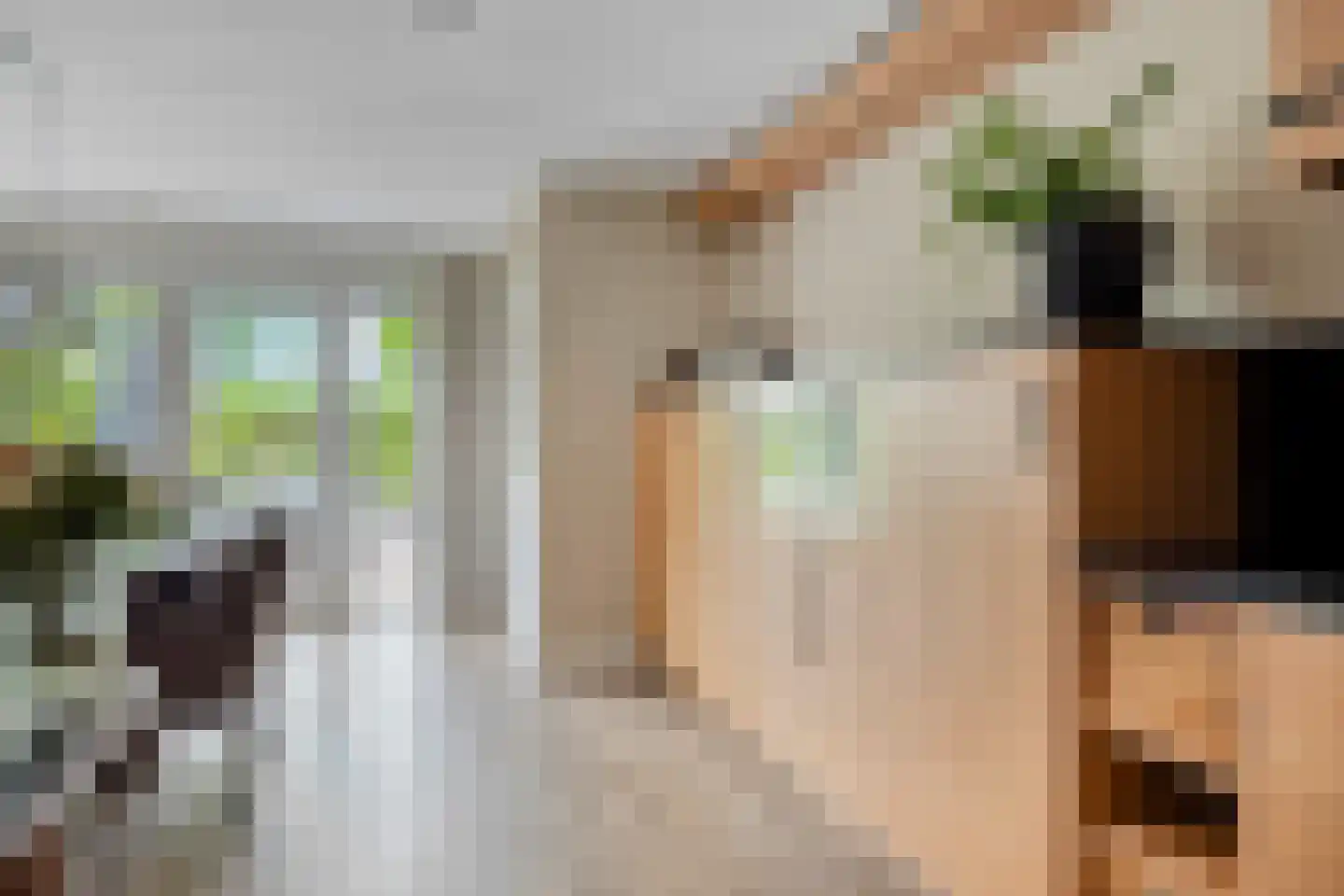Houtwal 19 Wierden thumbnail 15