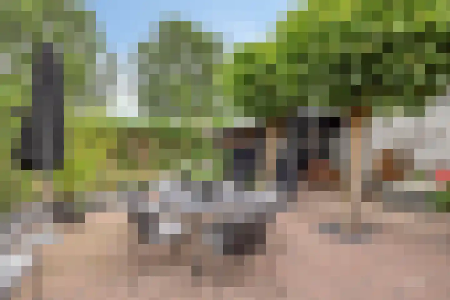 Houtwal 19 Wierden thumbnail 32