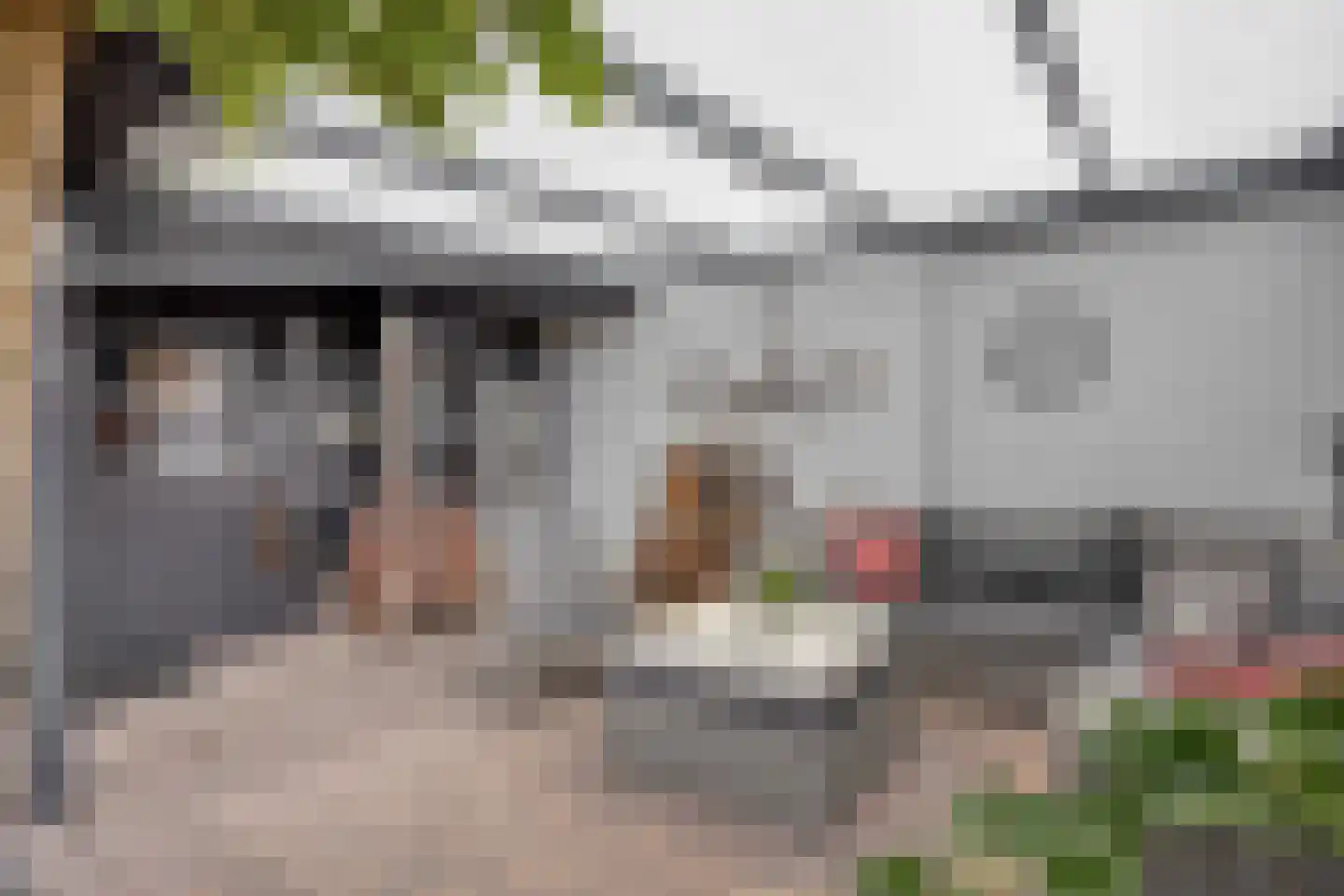 Houtwal 19 Wierden thumbnail 33