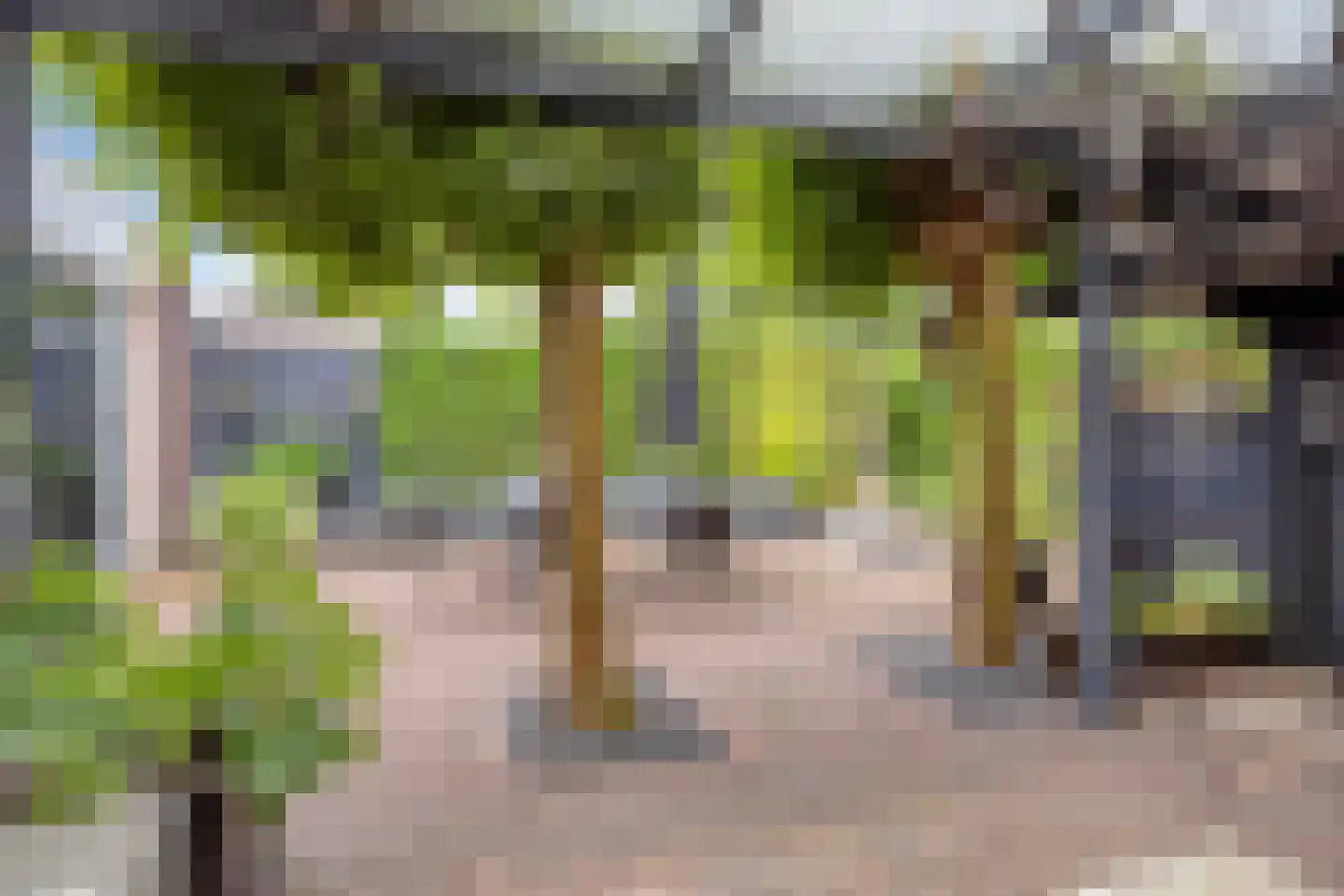 Houtwal 19 Wierden thumbnail 34
