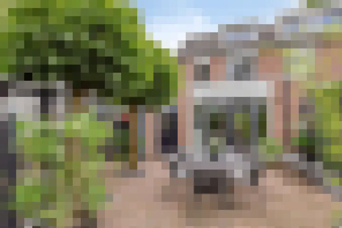Houtwal 19 Wierden thumbnail 35