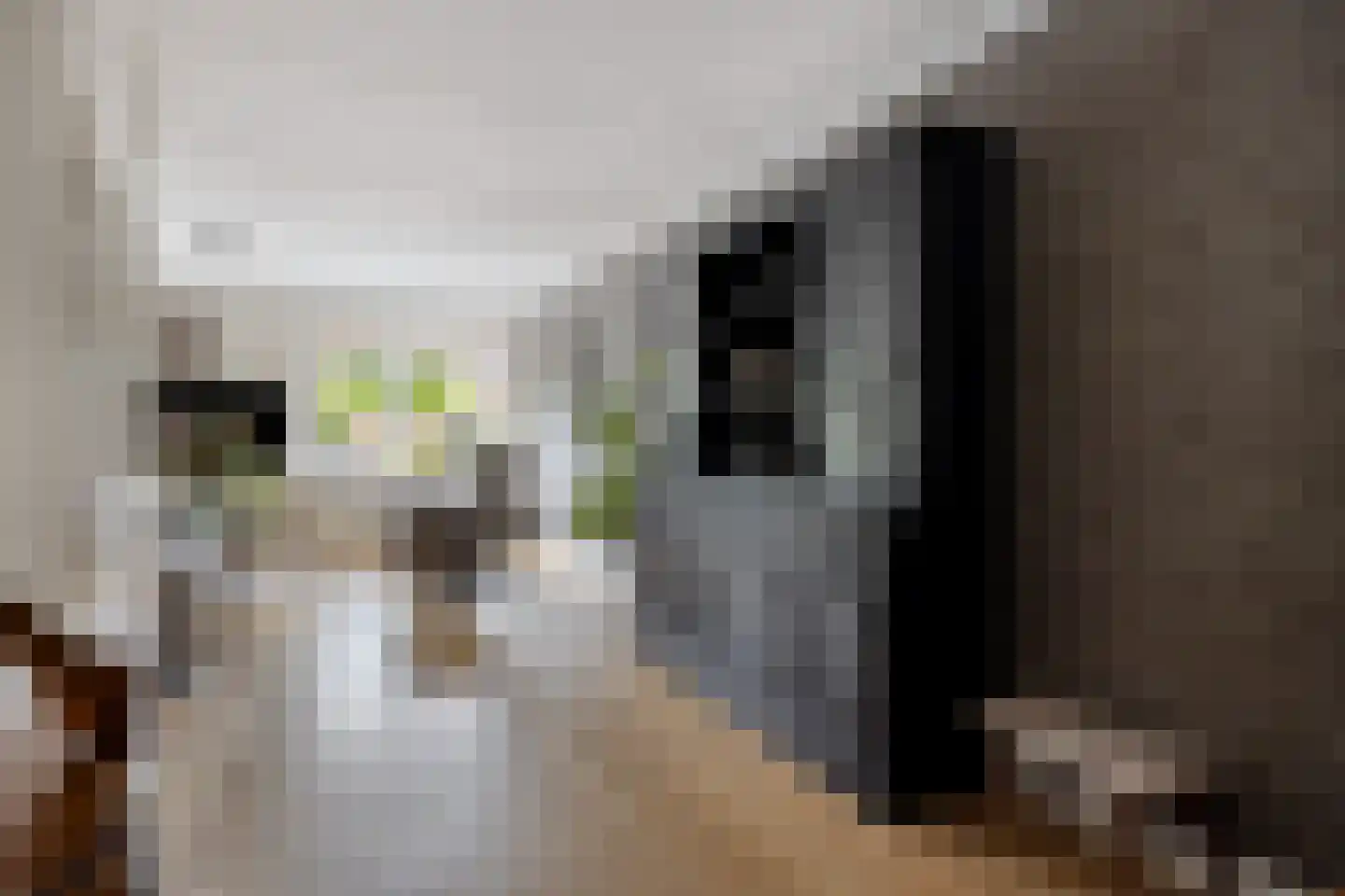 Houtwal 19 Wierden thumbnail 7