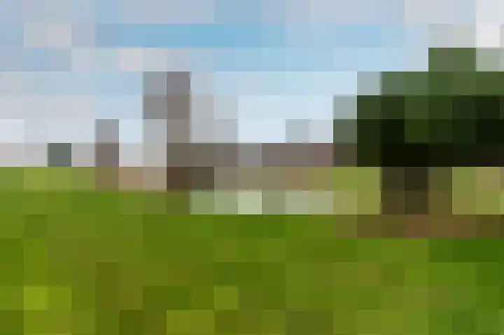 Houtwal 2 Lelystad thumbnail 25