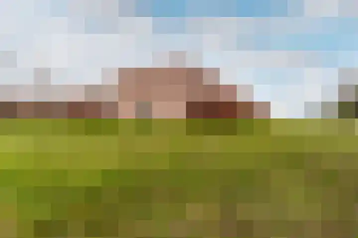 Houtwal 2 Lelystad thumbnail 26