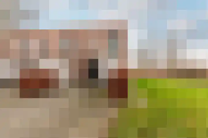 Houtwal 2 Lelystad thumbnail 29