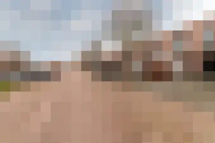 Houtwal 2 Lelystad thumbnail 30