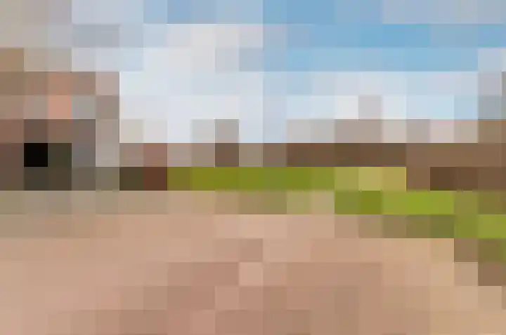 Houtwal 2 Lelystad thumbnail 31