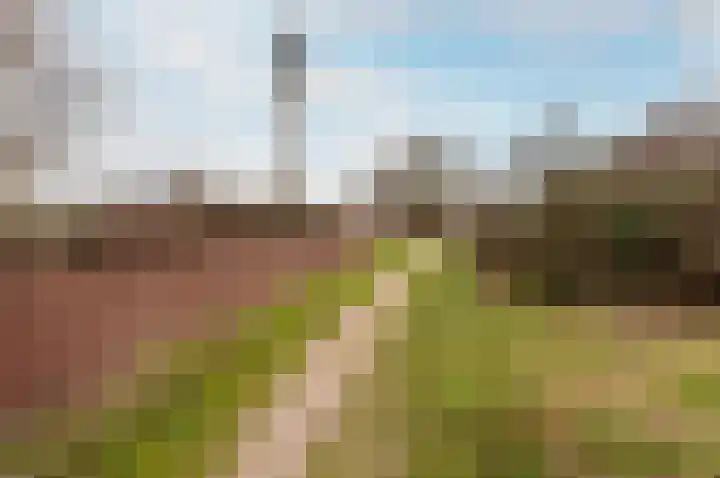 Houtwal 2 Lelystad thumbnail 32