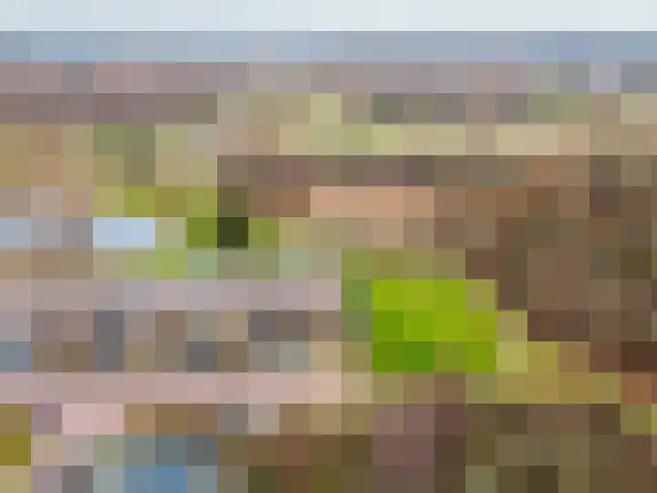 Houtwal 2 Lelystad thumbnail 37