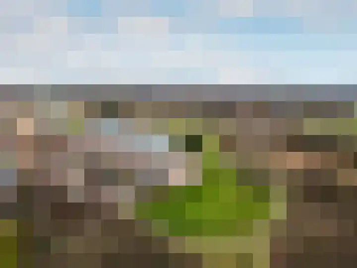 Houtwal 2 Lelystad thumbnail 38