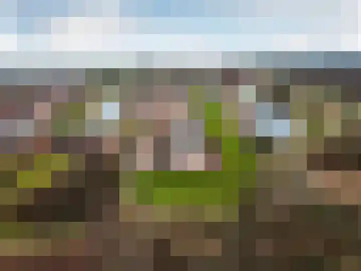 Houtwal 2 Lelystad thumbnail 39