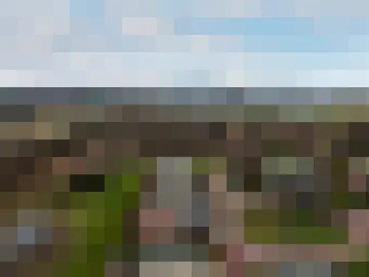 Houtwal 2 Lelystad thumbnail 41