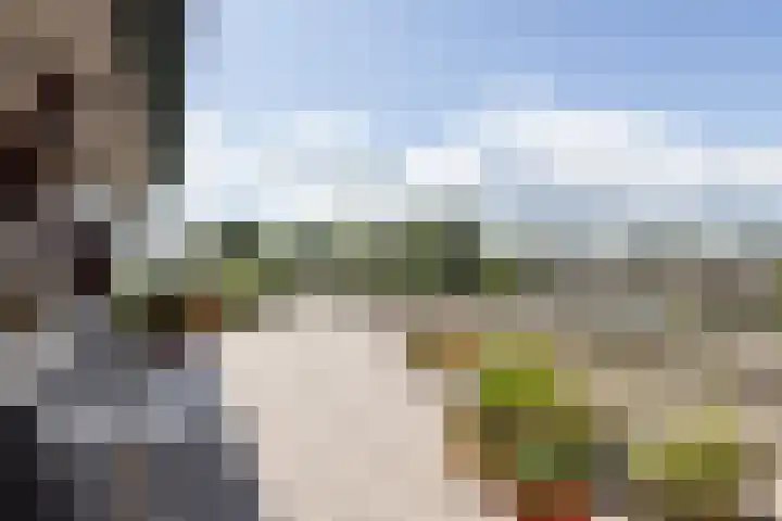 Houtwal 21 Groenlo thumbnail 23
