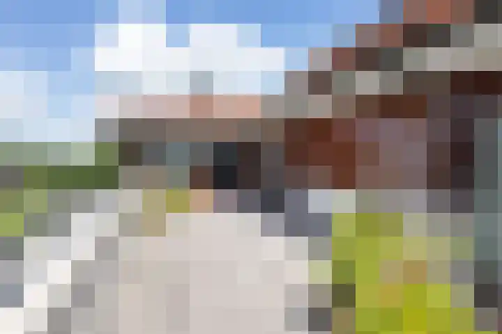 Houtwal 21 Groenlo thumbnail 25