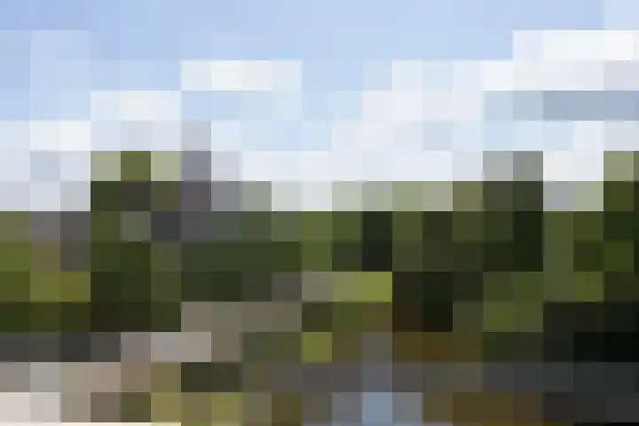 Houtwal 21 Groenlo thumbnail 26
