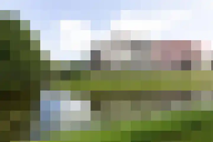 Houtwal 21 Groenlo thumbnail 28