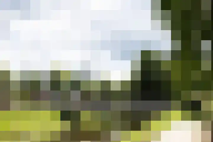 Houtwal 21 Groenlo thumbnail 29