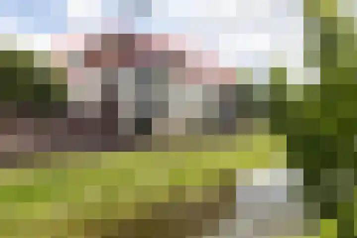 Houtwal 21 Groenlo thumbnail 36