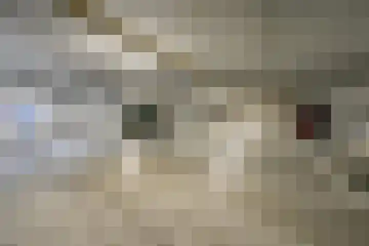 Houtwal 22 Veldhoven thumbnail 13