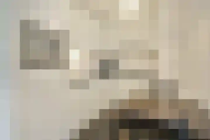 Houtwal 22 Veldhoven thumbnail 6