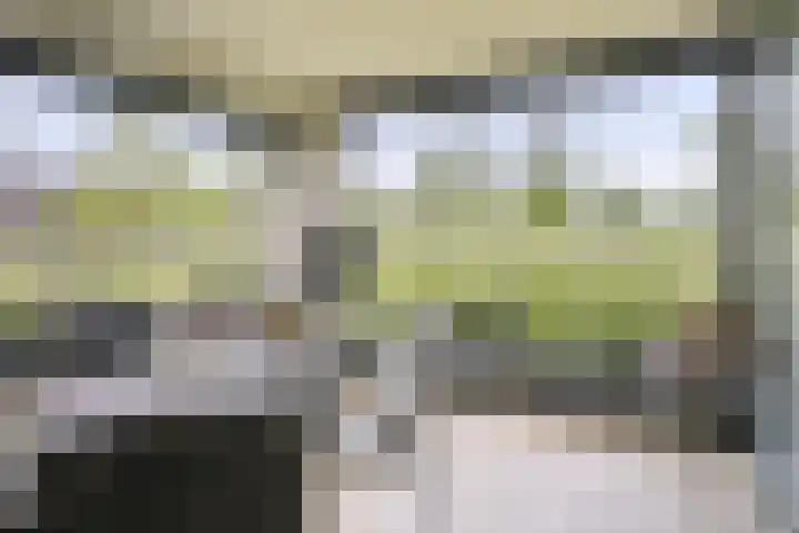Houtwal 22 Veldhoven thumbnail 7