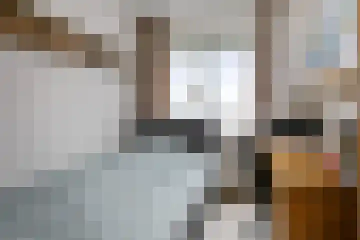 Houtwal 22 Veldhoven thumbnail 9