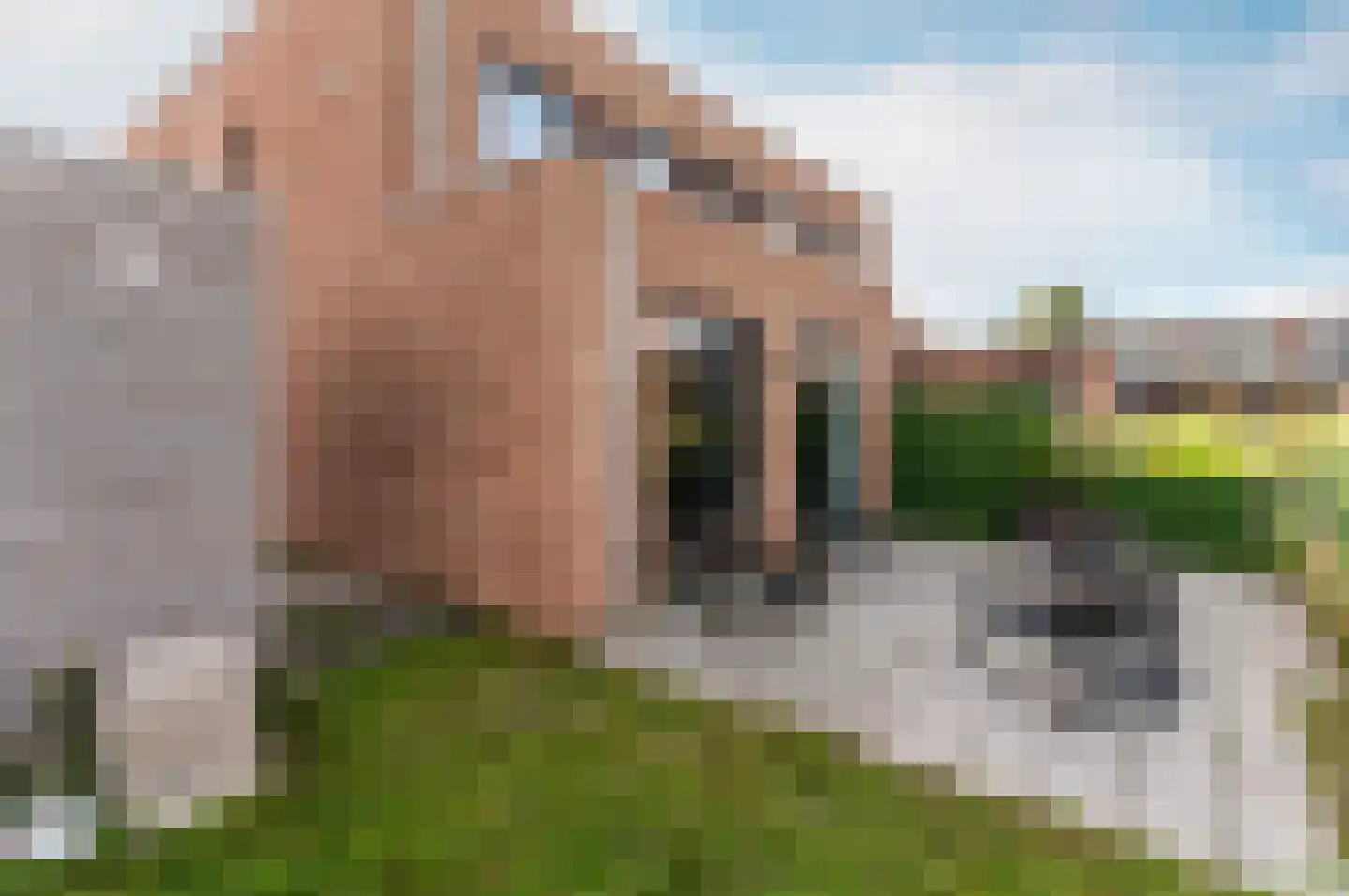 Houtwal 25 Lelystad thumbnail 33