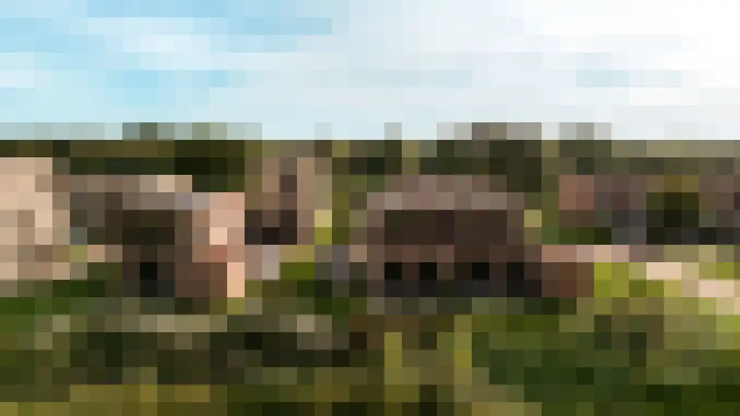 Houtwal 25 Lelystad thumbnail 42