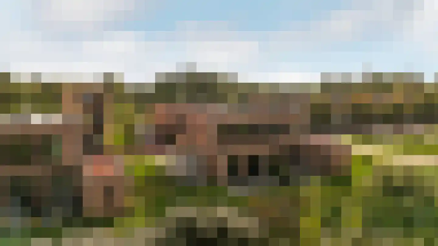 Houtwal 25 Lelystad thumbnail 43