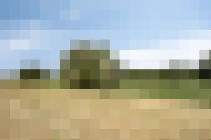 Houtwal 26 Lelystad thumbnail 43