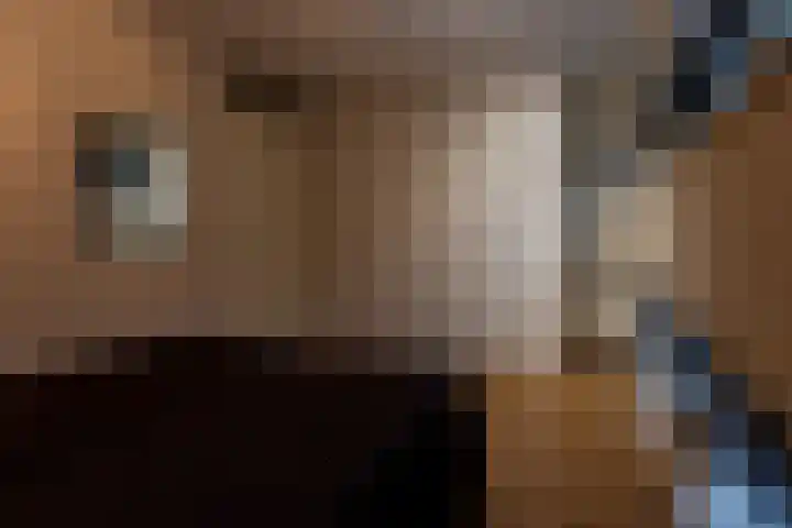 Houtwal 26 Veldhoven thumbnail 31