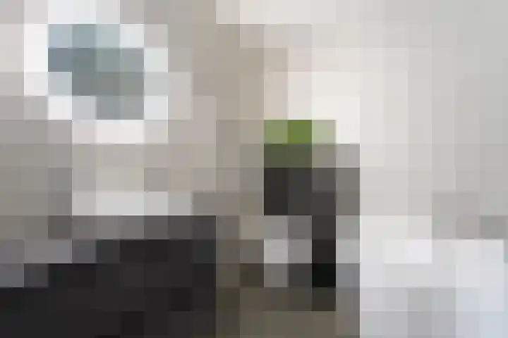 Houtwal 3 Vlissingen thumbnail 21
