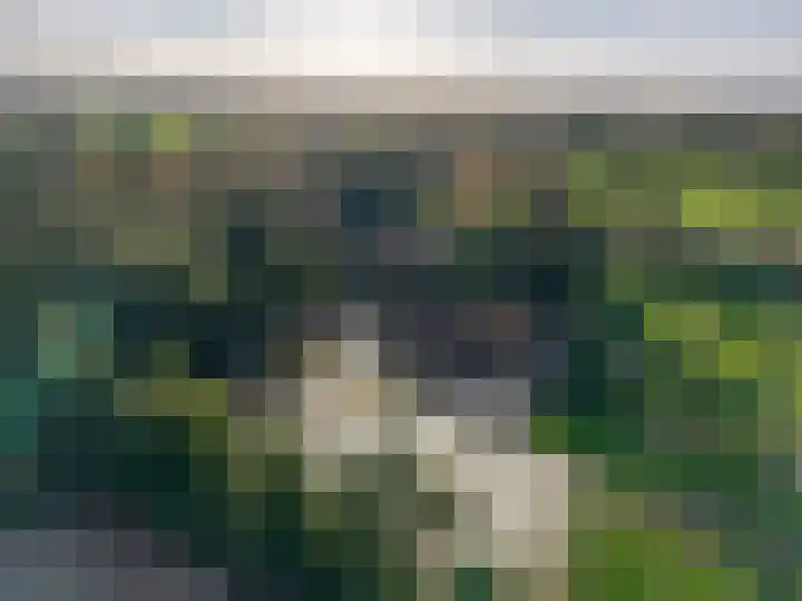 Houtwal 34 Marum thumbnail 10