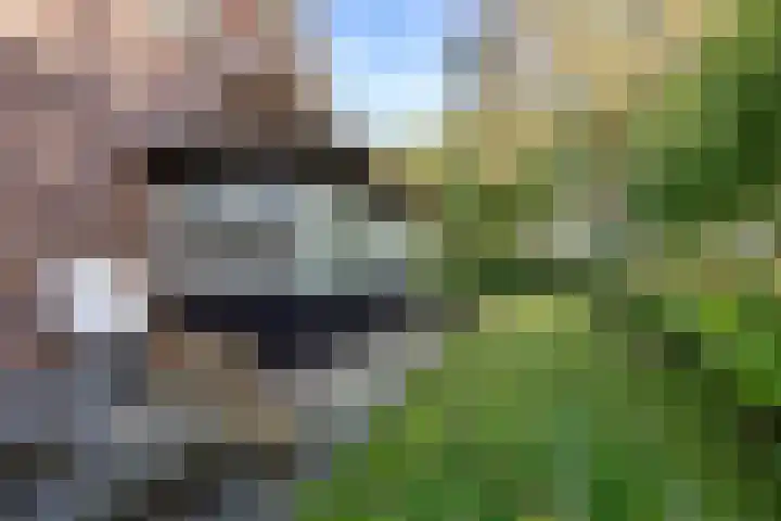 Houtwal 34 Marum thumbnail 101