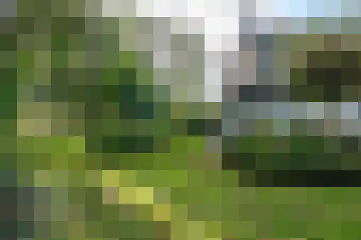 Houtwal 34 Marum thumbnail 102