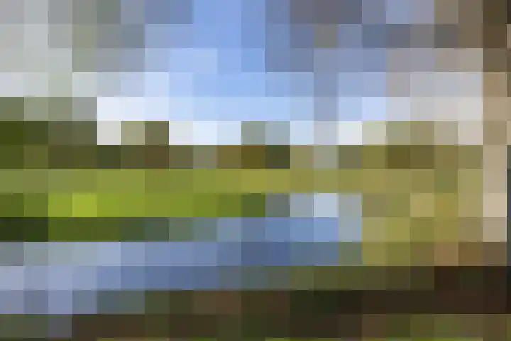Houtwal 34 Marum thumbnail 109