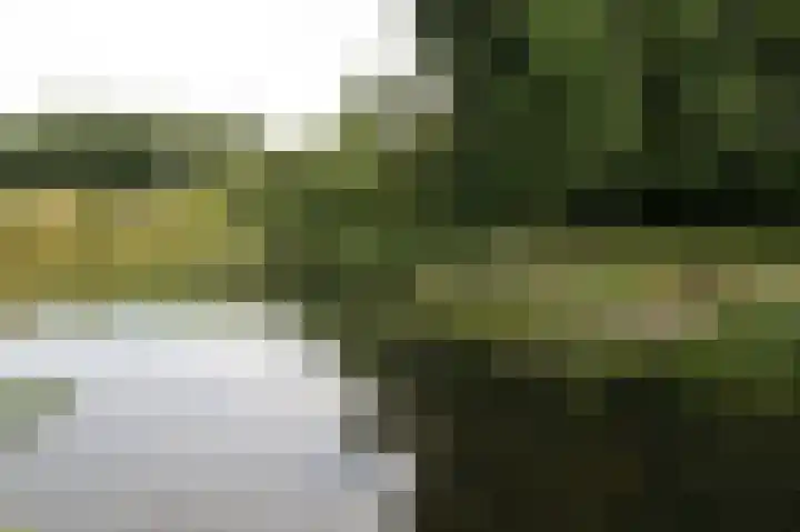 Houtwal 34 Marum thumbnail 111