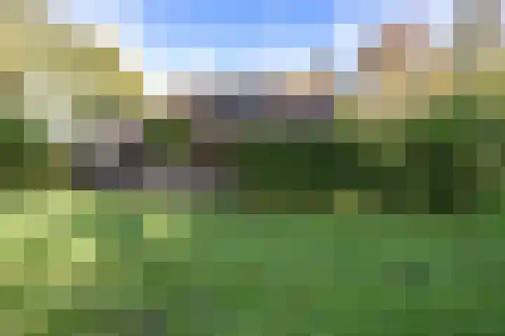 Houtwal 34 Marum thumbnail 112