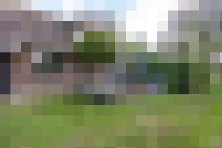 Houtwal 34 Marum thumbnail 116