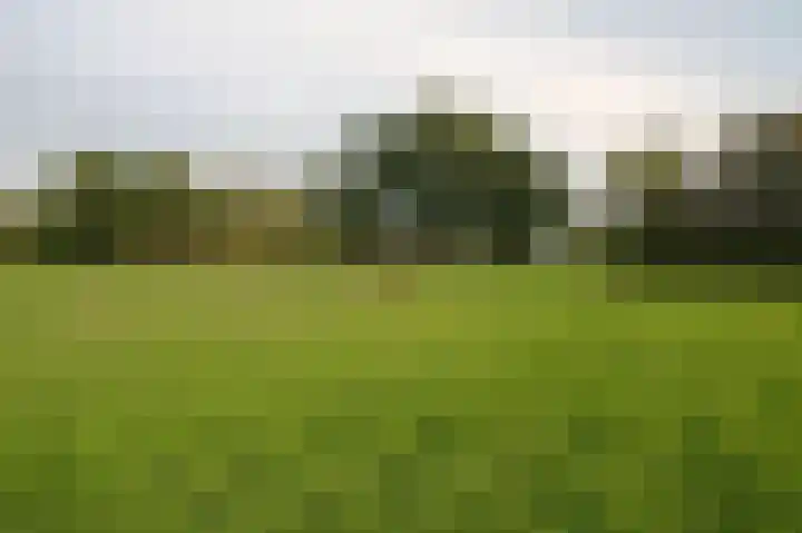 Houtwal 34 Marum thumbnail 118