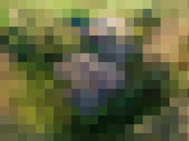 Houtwal 34 Marum thumbnail 119