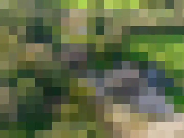 Houtwal 34 Marum thumbnail 12