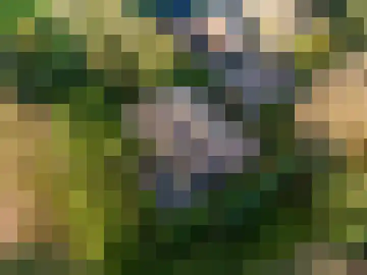 Houtwal 34 Marum thumbnail 120