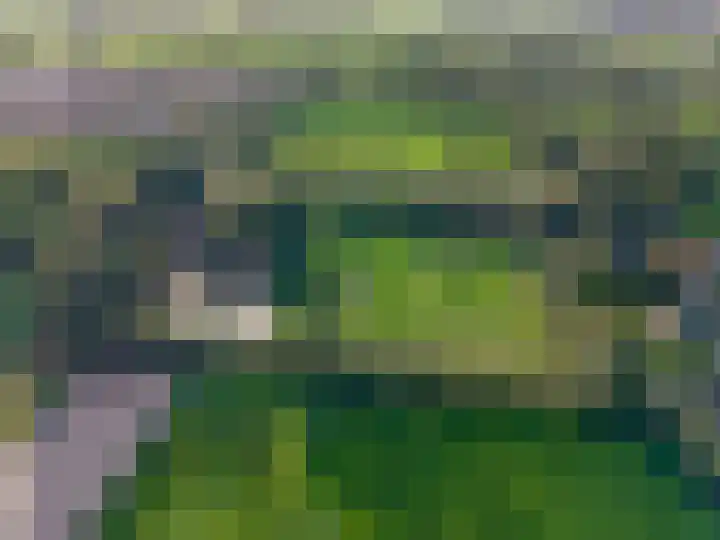 Houtwal 34 Marum thumbnail 121
