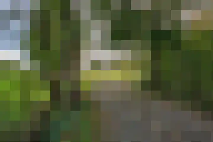 Houtwal 34 Marum thumbnail 13