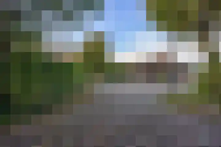 Houtwal 34 Marum thumbnail 14